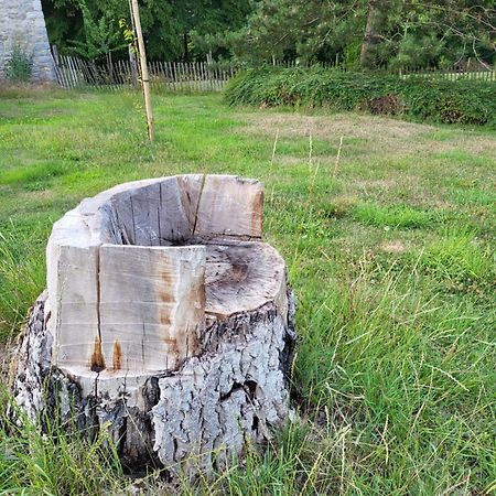 A La Salle De Jeux Et Son Jardin Autour De La Cabane Verte دينانت المظهر الخارجي الصورة